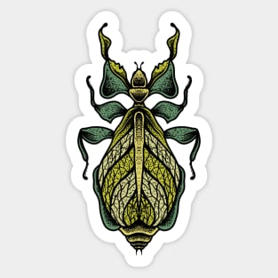 Insect 1 Sticker